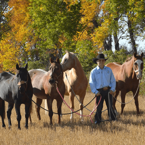 AllAroundCowboy-ColeGerhardt.png Image
