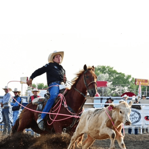 BreakawayRoping-SheridanBubel.png Image