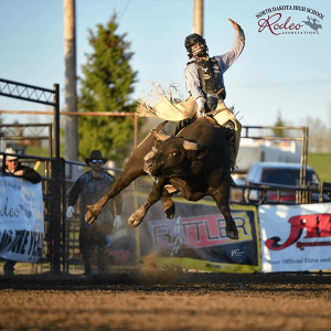 BullRiding-TylerVillarreal.png Image