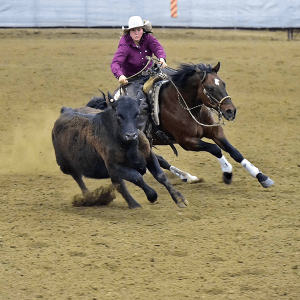 ReinedCowHorse-SidneySandstrom.png Image