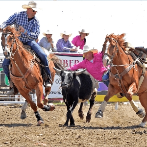 SteerWrestling-HadlyErickson.png Image