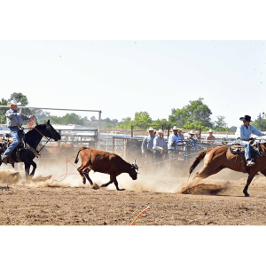 TeamRoping-TrevorSorge-TelSorenson.png Image